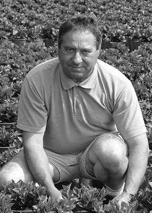 José Oliveira